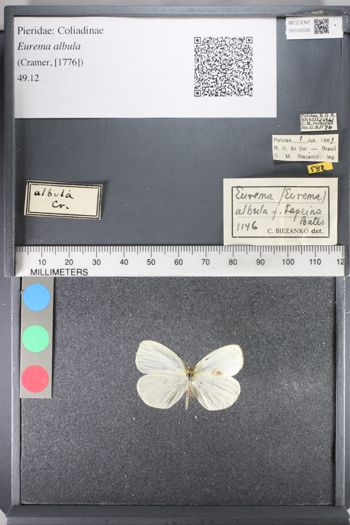 Media type: image;   Entomology 120535
